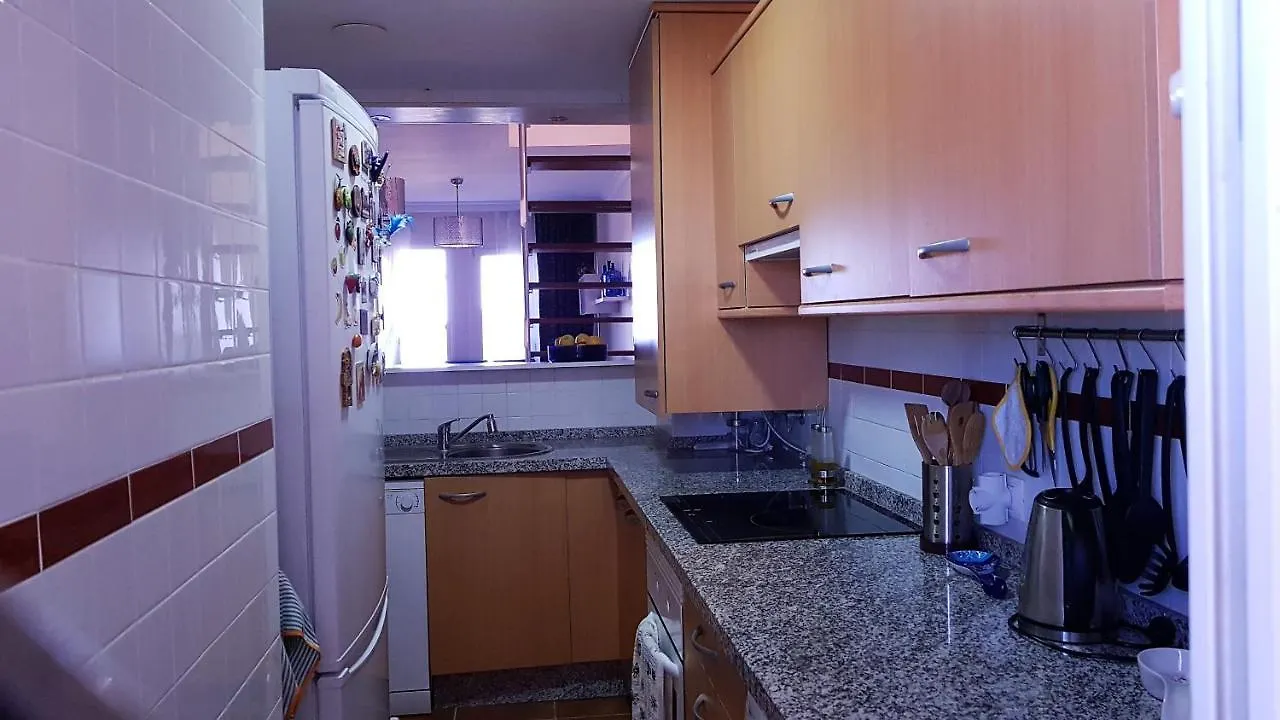 Costa Del Sol Manilva Playa Spa Apartment 0*,